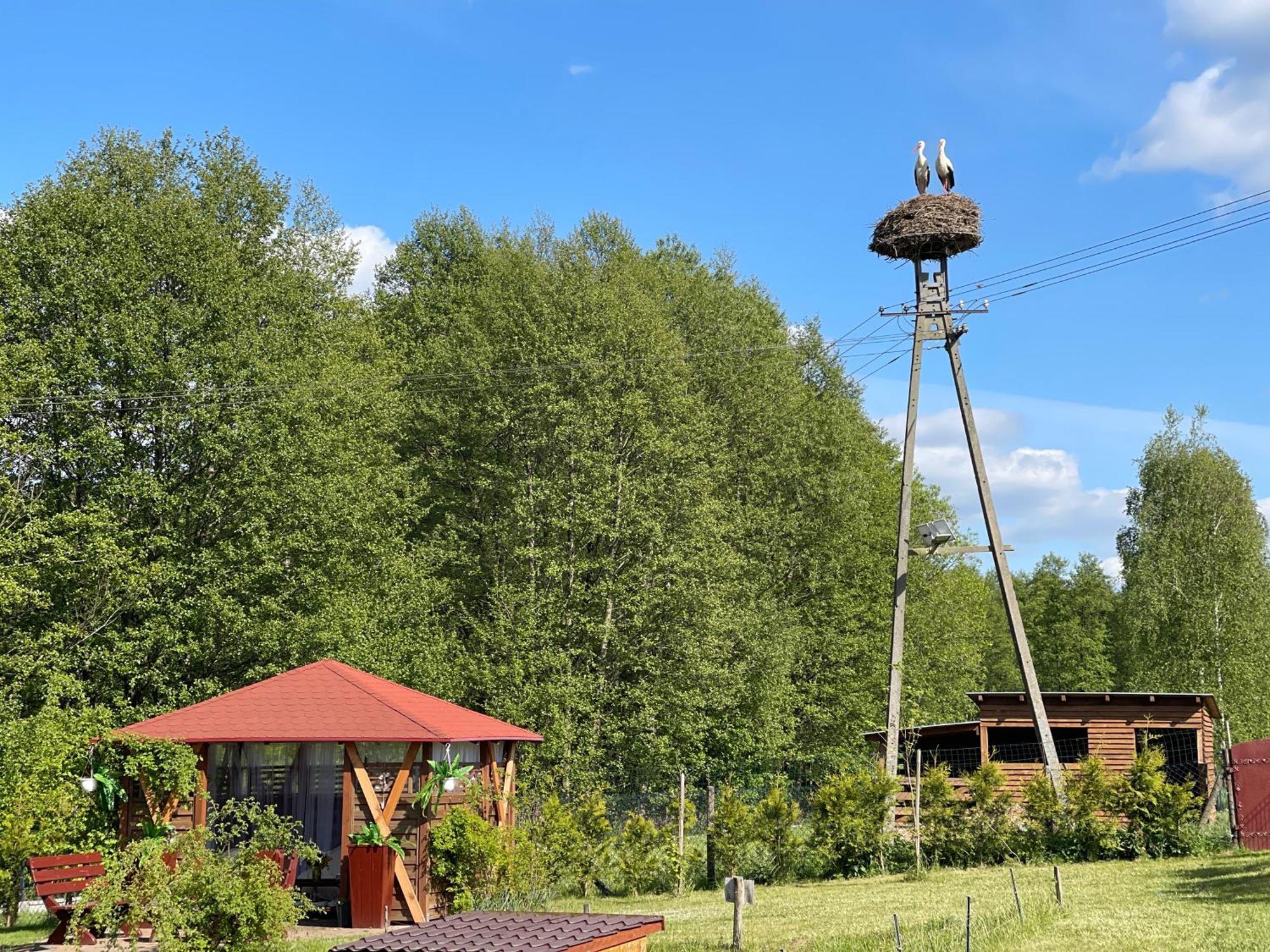 Agro Na Wapniarni Vila Biala  Exterior foto